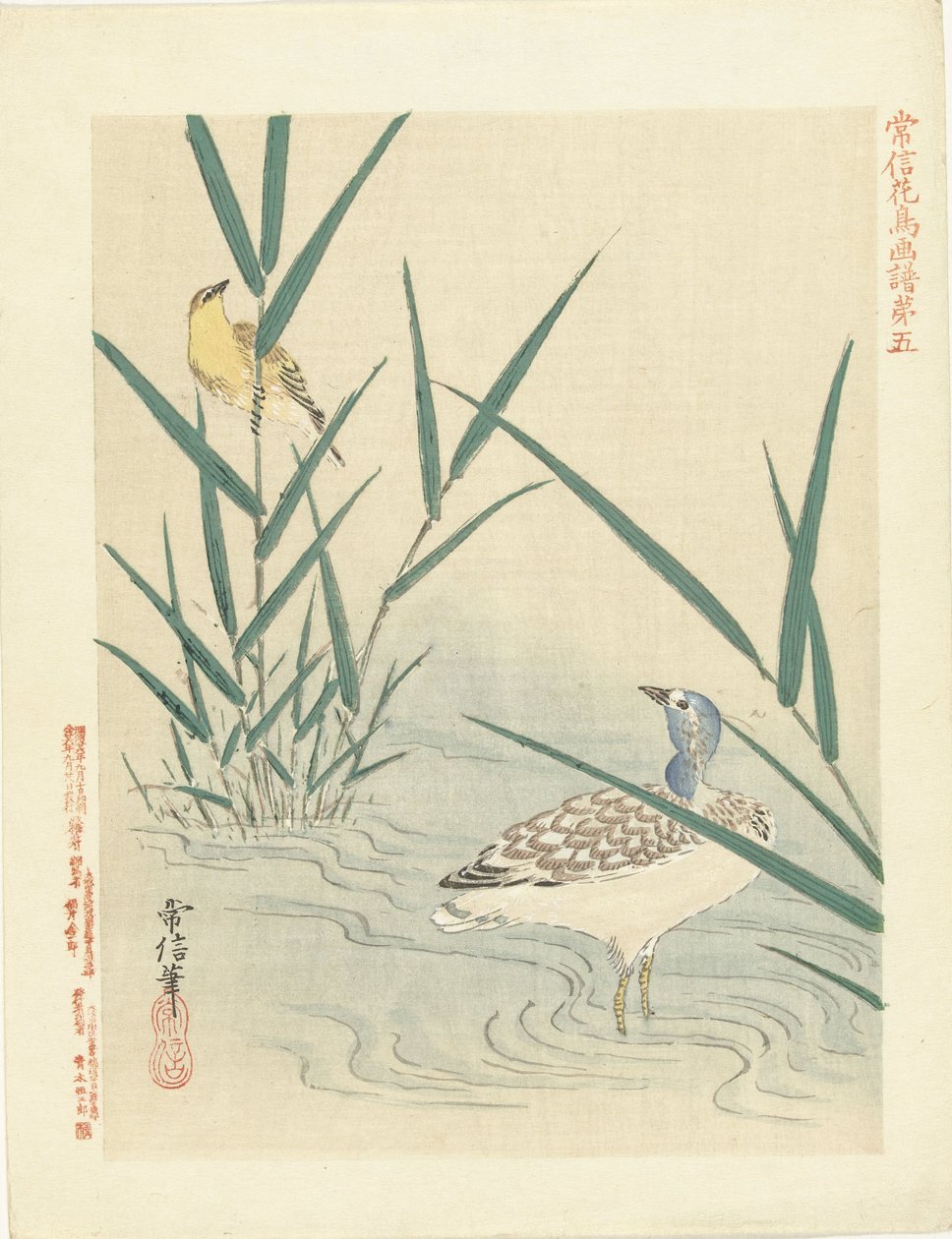 Watervogel kijkend naar gele zangvogel door Kano Tsunenobu