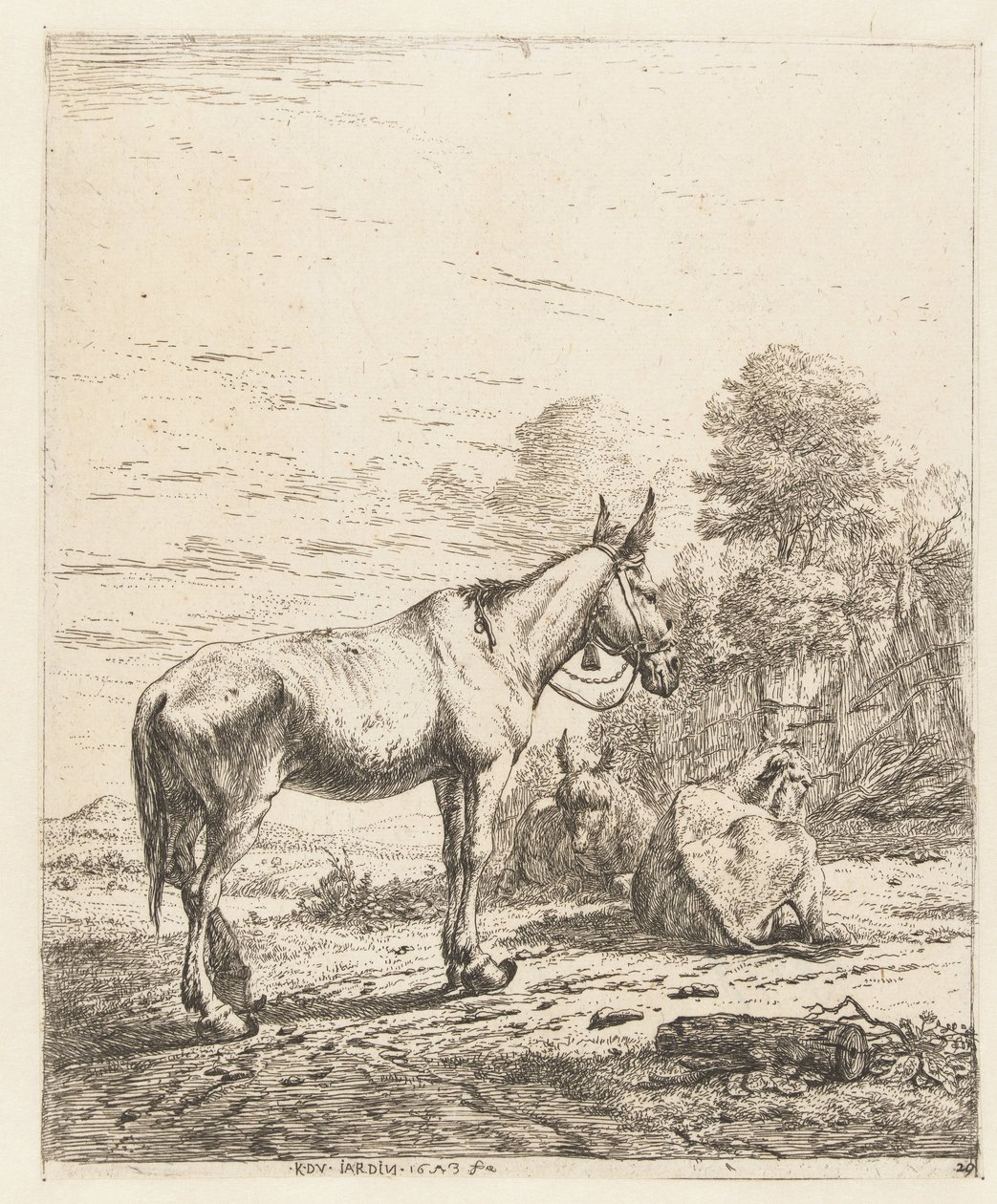Muilezel met bel aan halster en twee liggende ezels door Karel Du Jardin