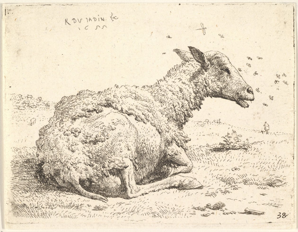 Gedeeltelijk geschoren schaap liggend in het gras met insecten rond zijn hoofd, 1655 door Karel Du Jardin