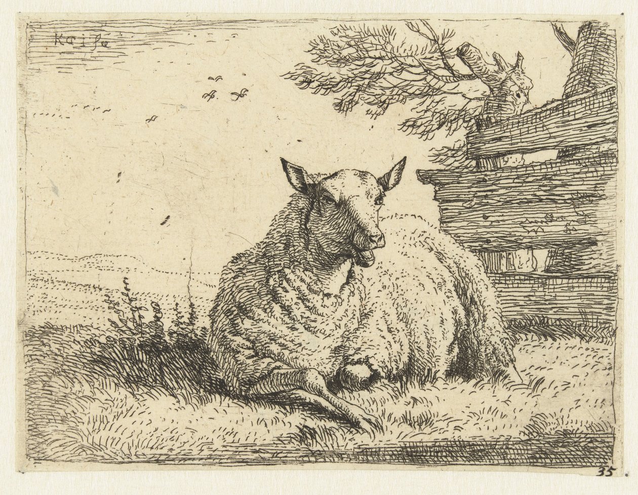 Schaap bij een hek door Karel Du Jardin