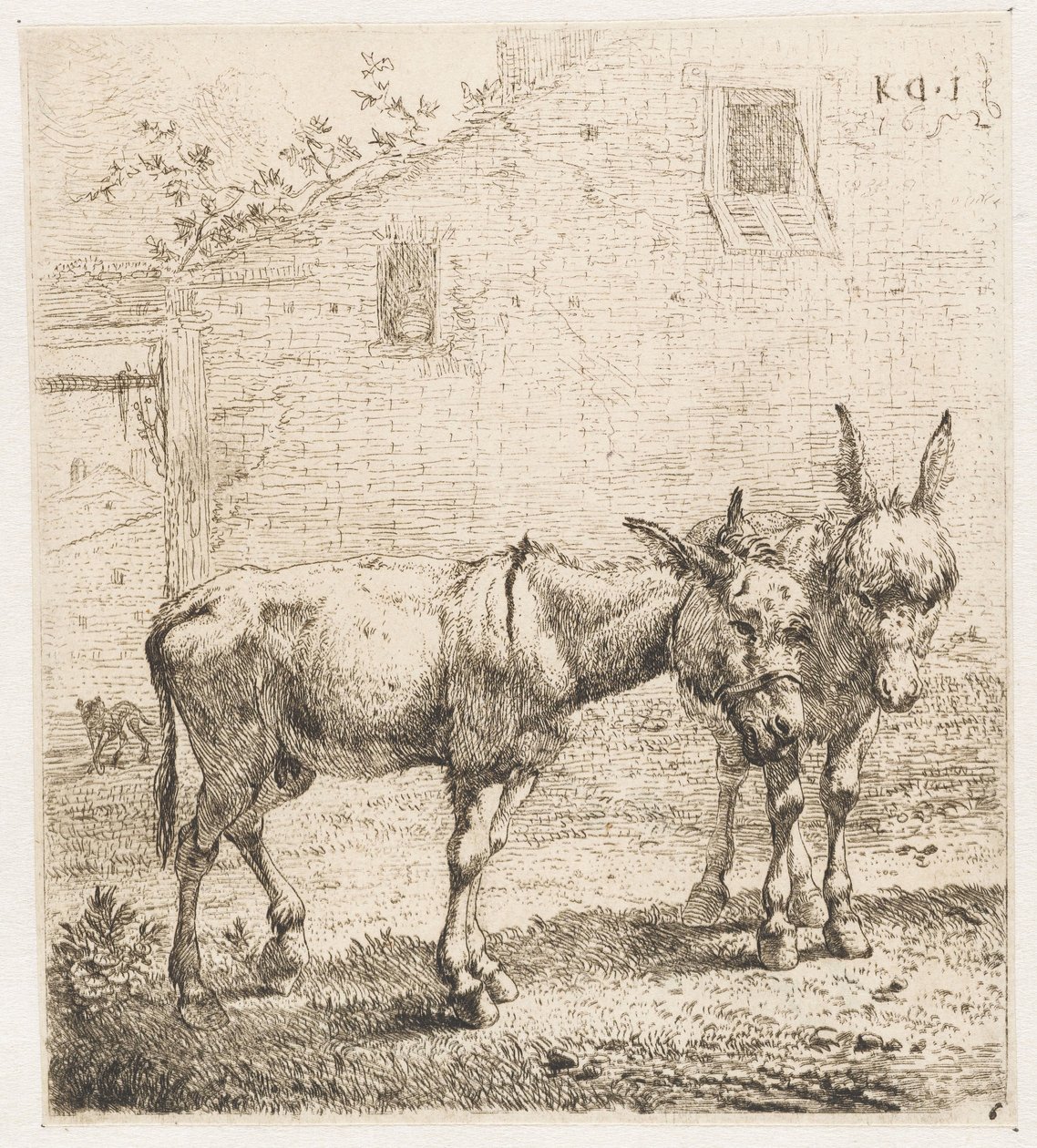 Twee ezels door Karel Du Jardin