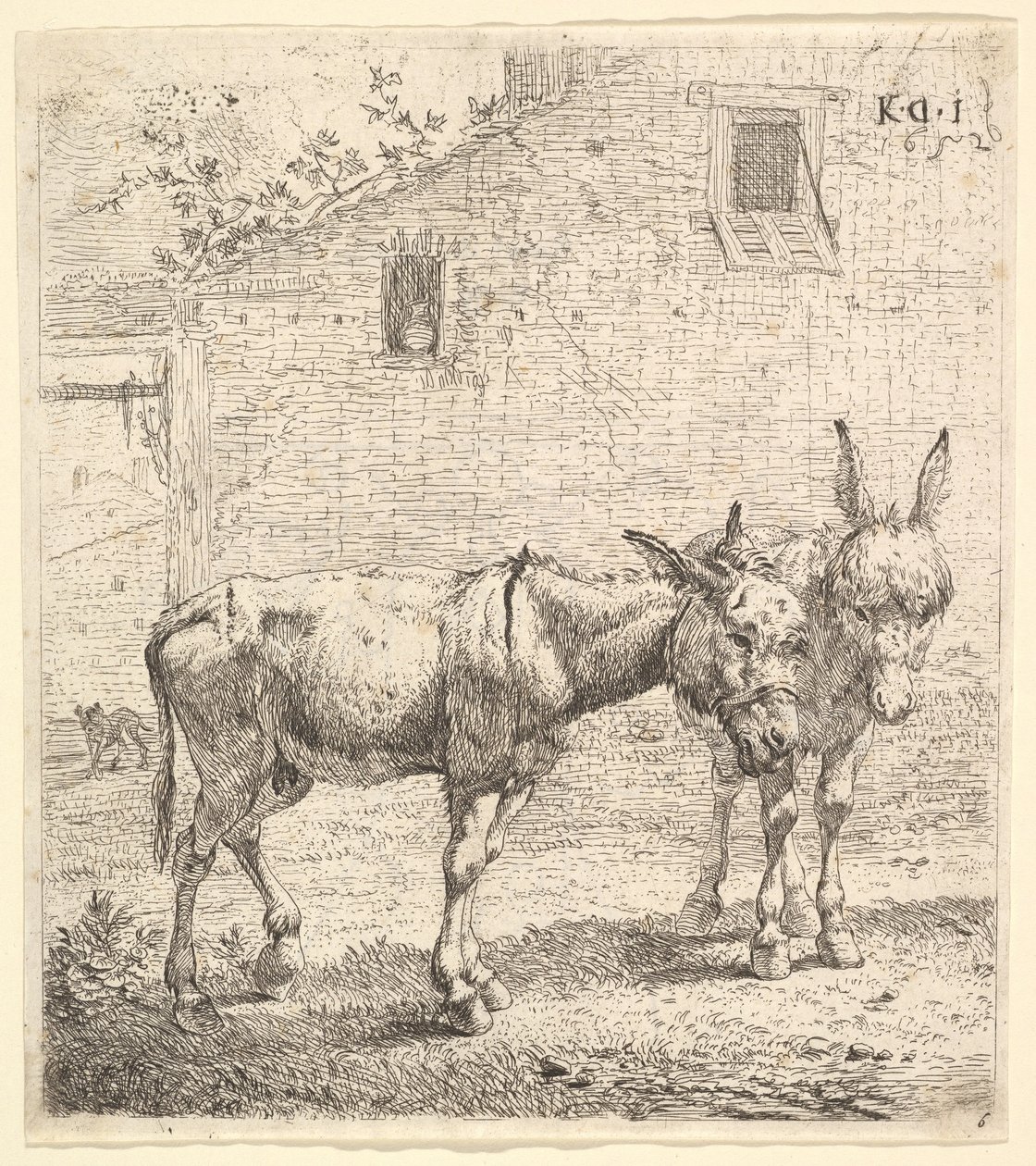 Twee ezels staand in een grasveld, één in profiel naar rechts en een andere erachter door Karel Du Jardin