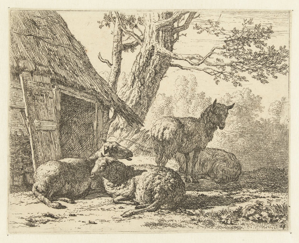 Vier schapen door Karel Du Jardin