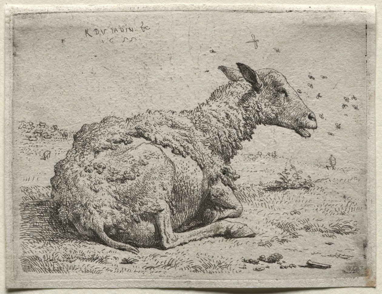 De Schapen en de Vliegen door Karel Dujardin