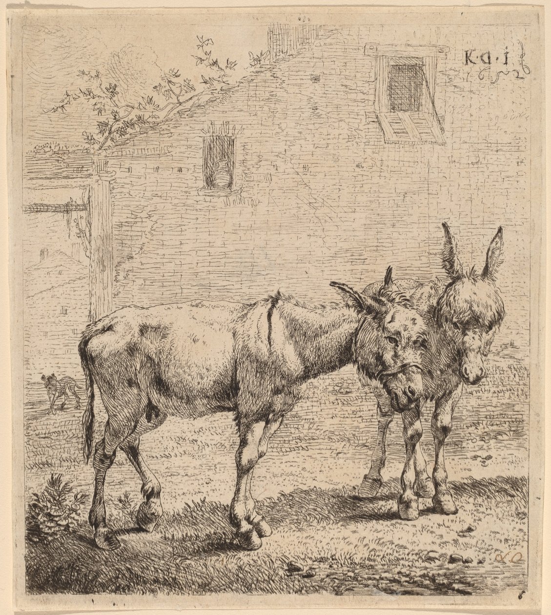 Twee Ezelinnen door Karel Dujardin