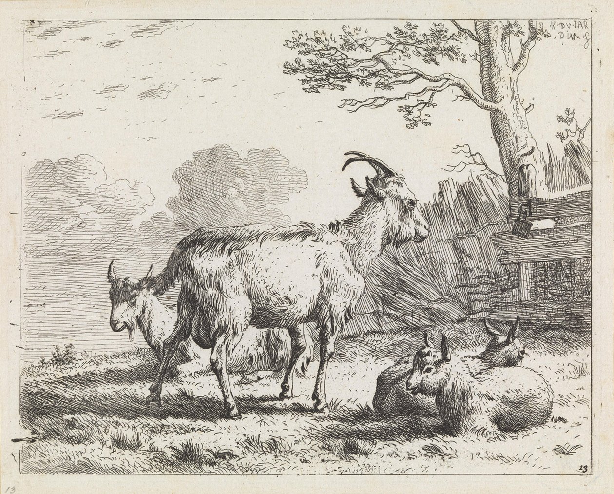 Vier geiten door Karel Dujardin