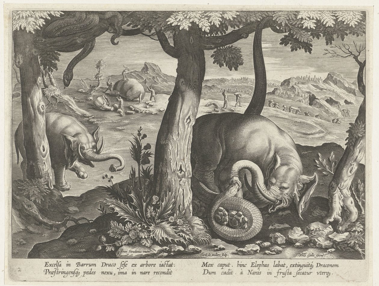 Olifant in gevecht met slang, Jachttaferelen (serietitel), Venationes Ferarum, auium, piscium pvgnae Bestiariorum (serietitel) door Karel van Mallery (attributed to)