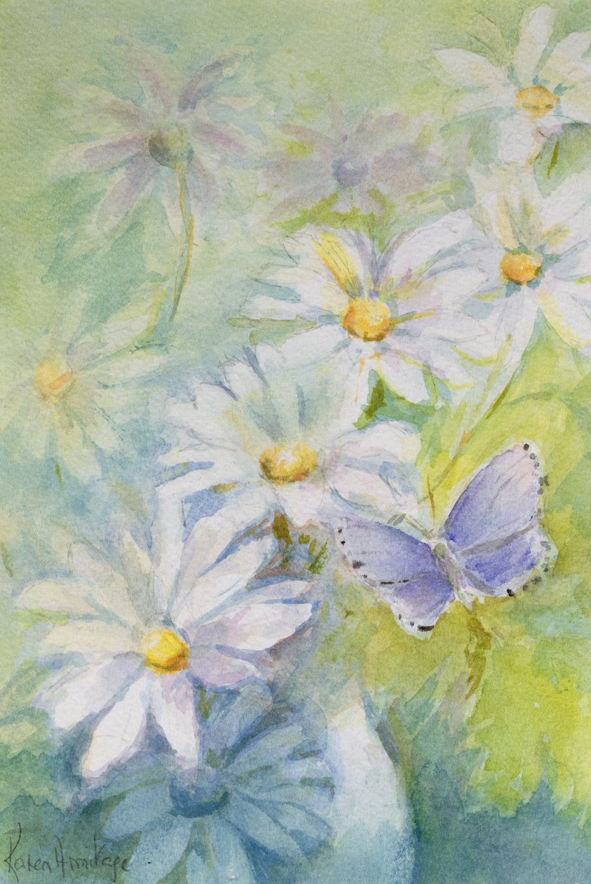 Icarusblauwtje (Polyommetus Icarus) op madeliefjes door Karen Armitage