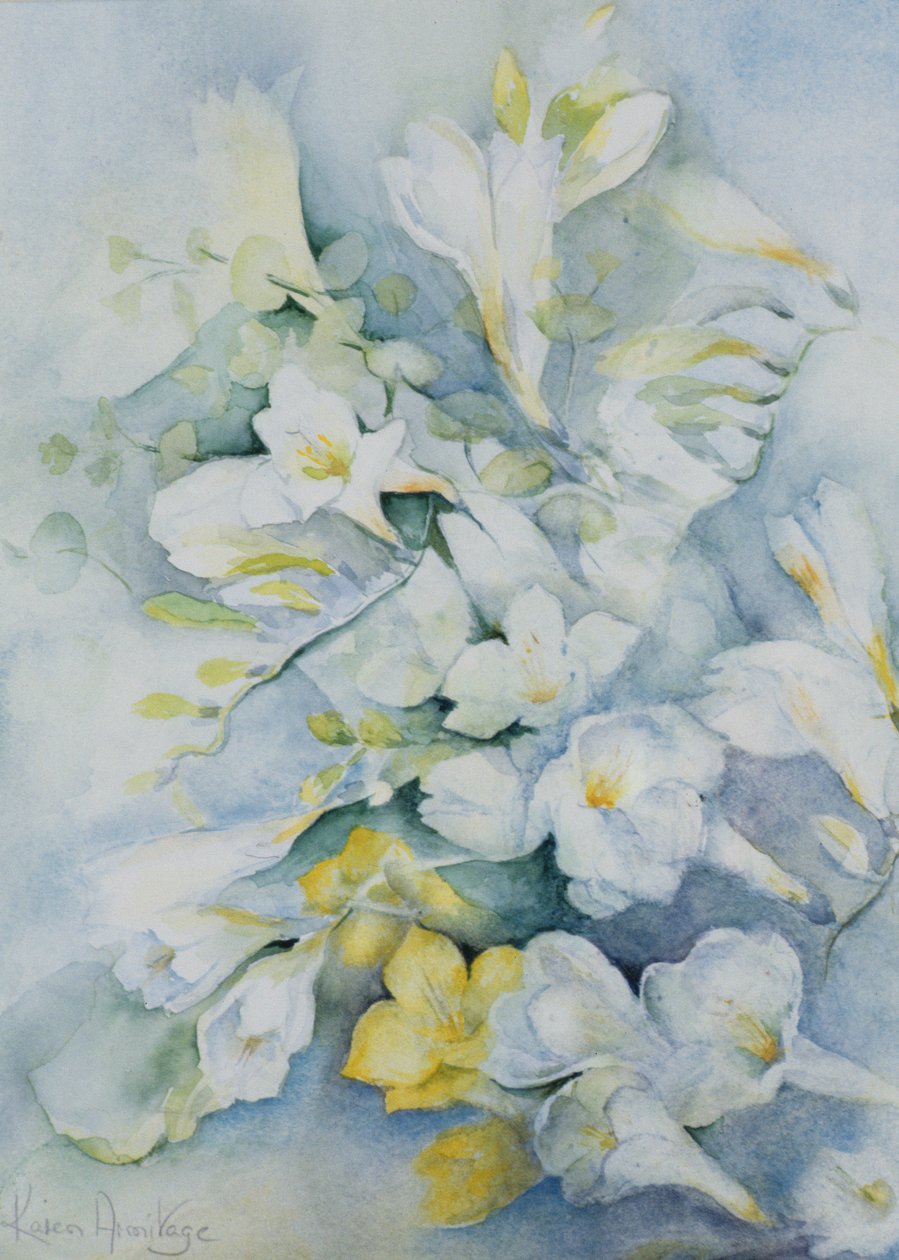 Freesia Eldus, Giant White door Karen Armitage