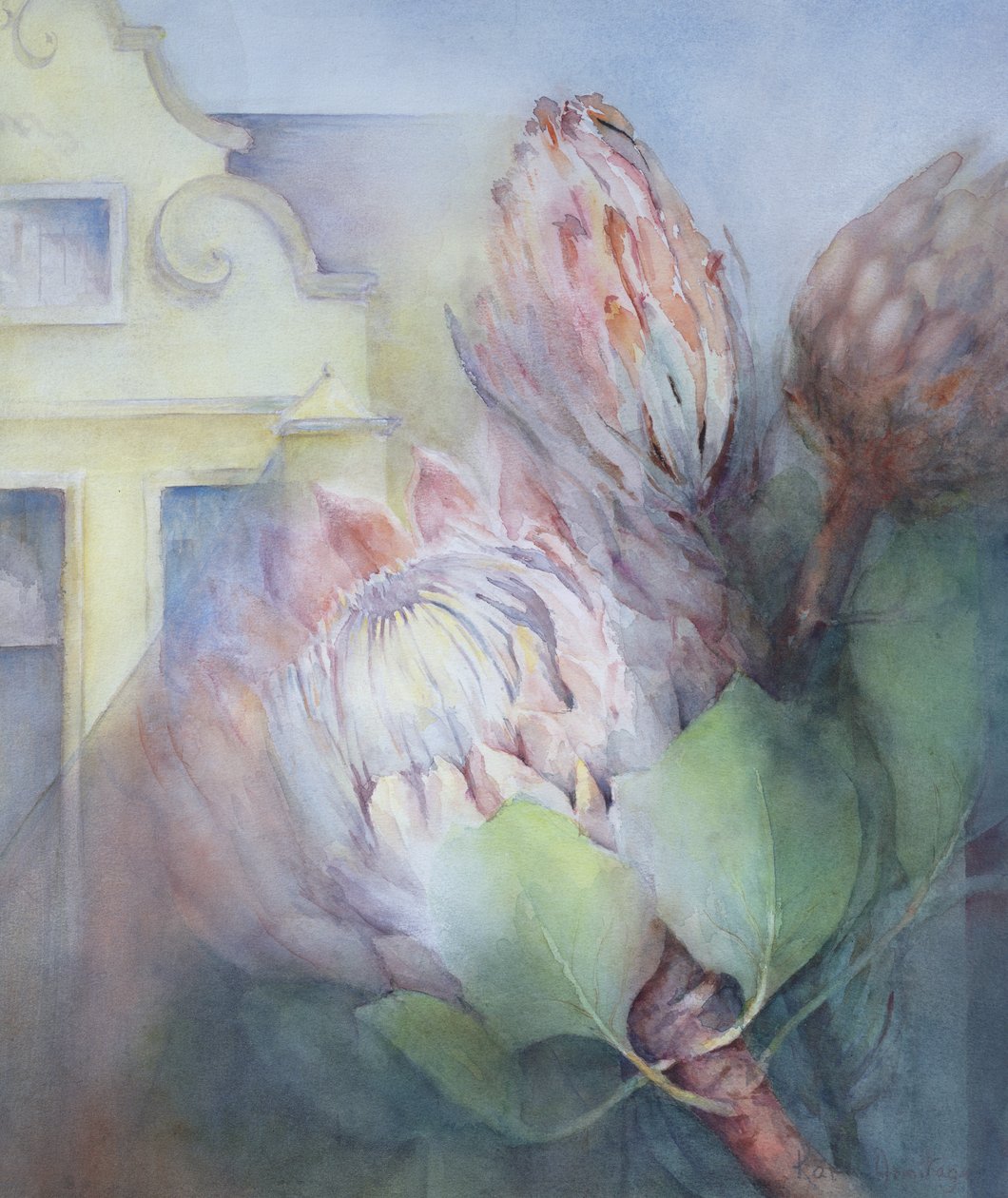 Protea in Stellenbosch door Karen Armitage