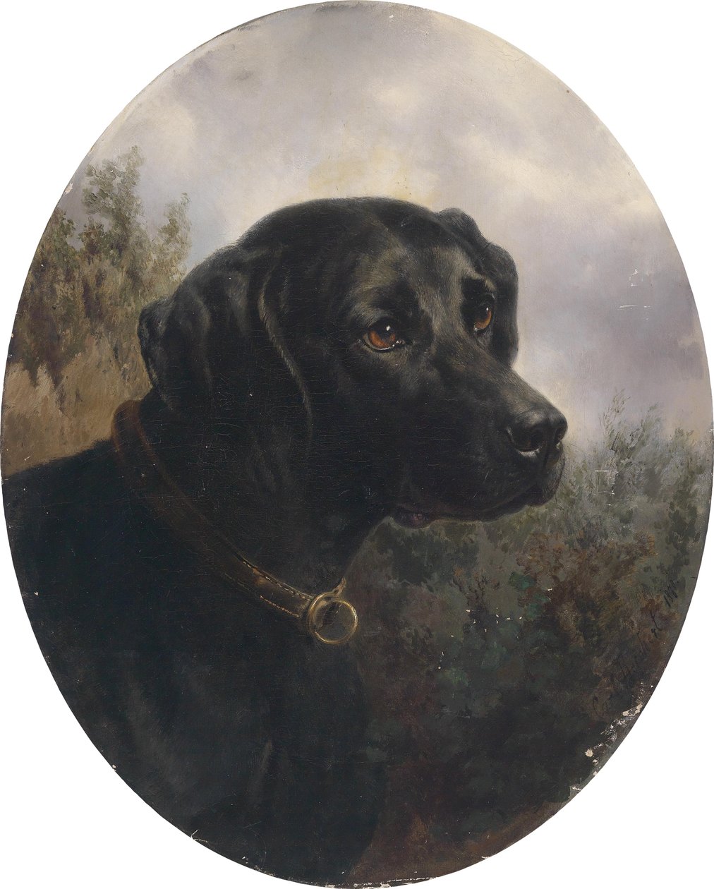 Hector, jachthond van Arthur Ritter v. Schnapper door Karl Reichert