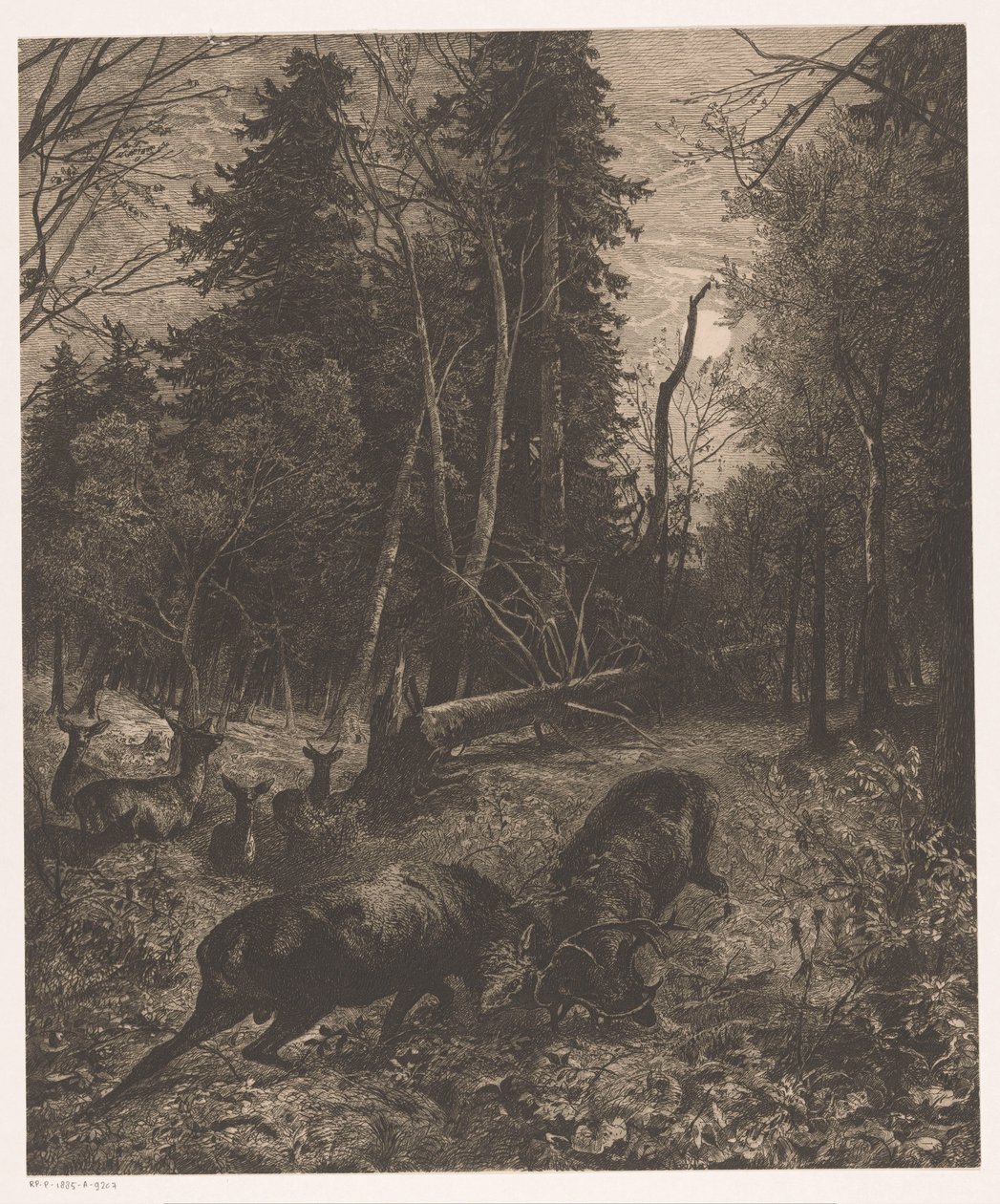 Bosgezicht met twee vechtende herten door Karl Bodmer