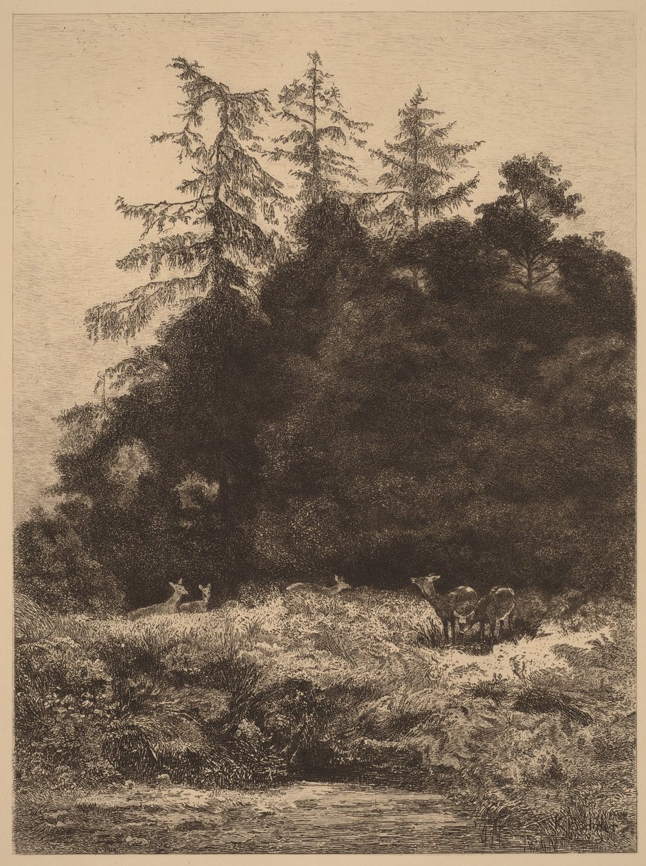 Reeën in een park door Karl Bodmer