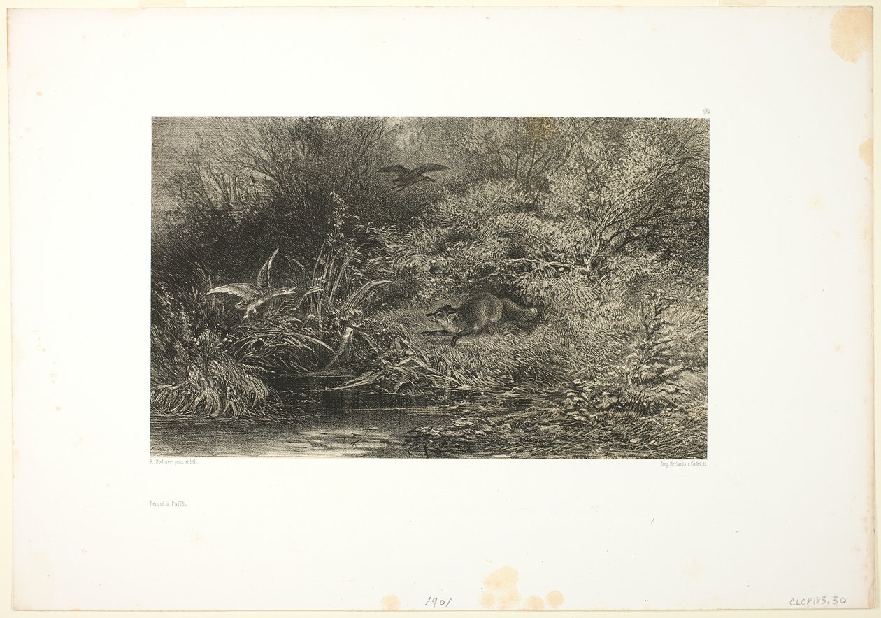 Vos op jacht door Karl Bodmer