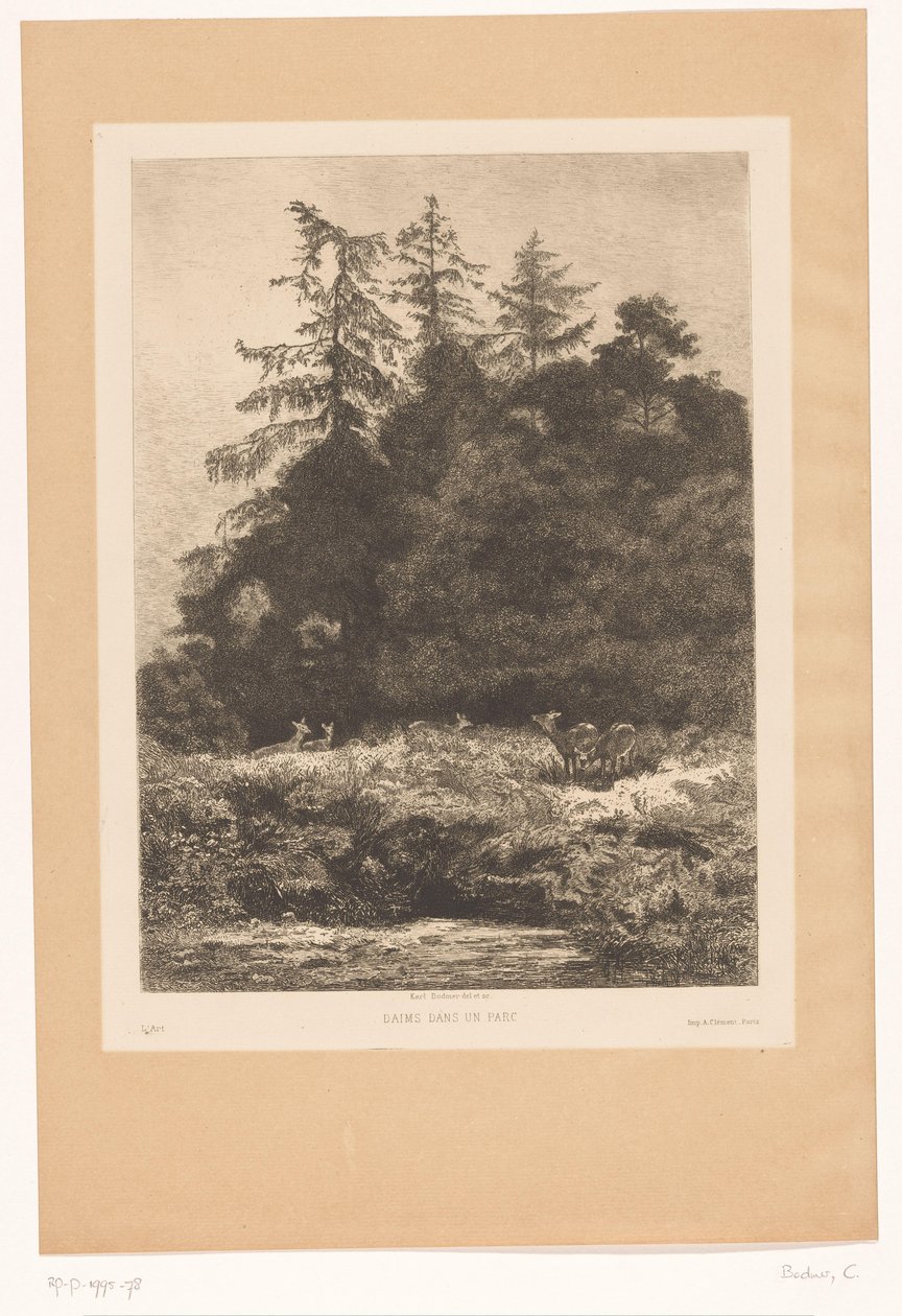Herten aan de rand van een bos door Karl Bodmer