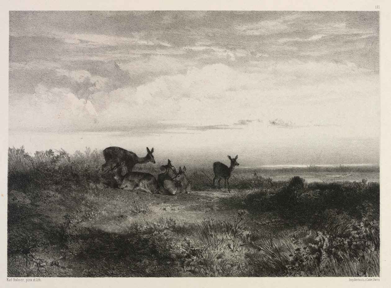 Landschap met Herten, ca. 1840 door Karl Bodmer