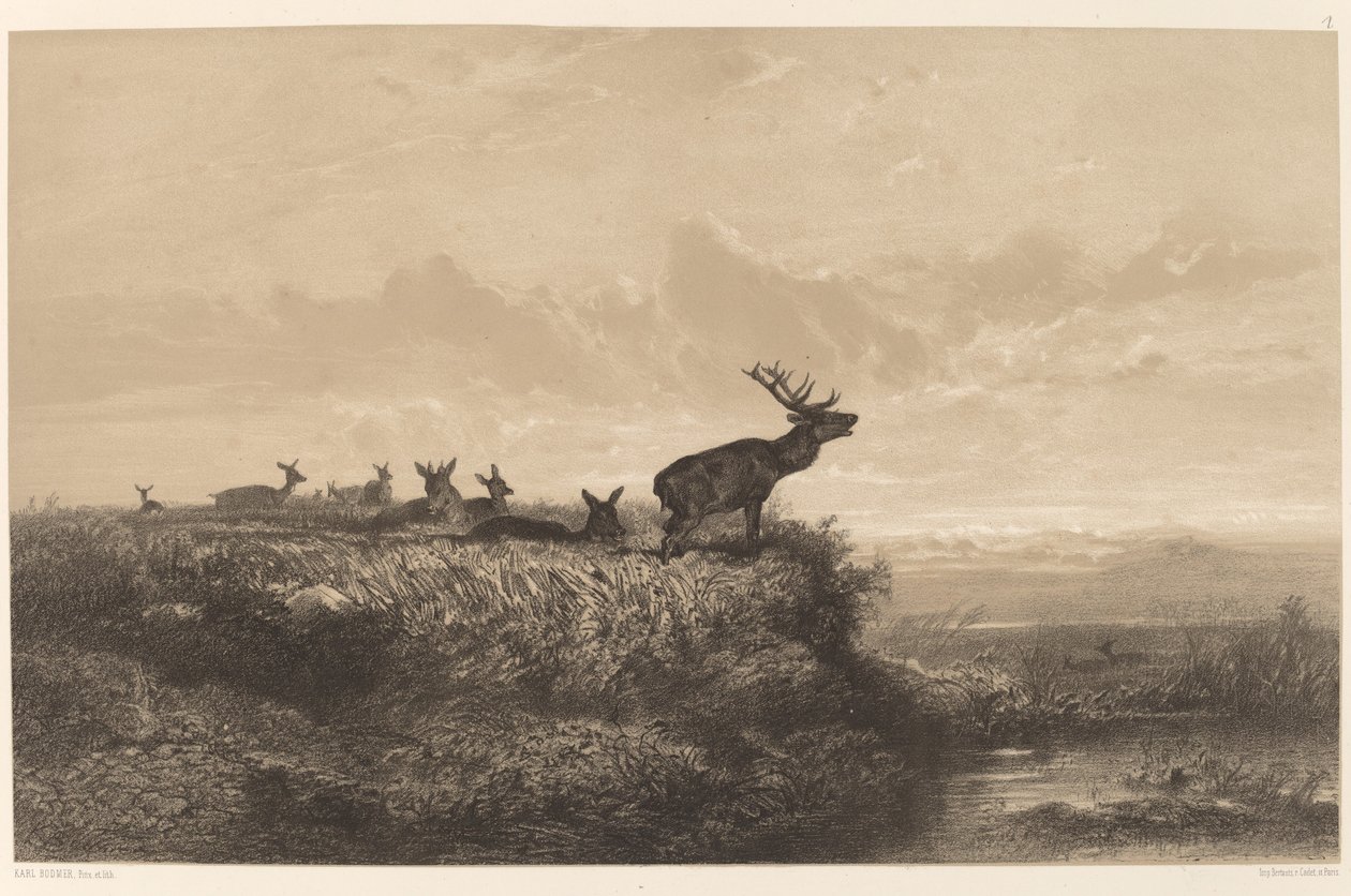 De Ochtend. Hert en Hinden door Karl Bodmer