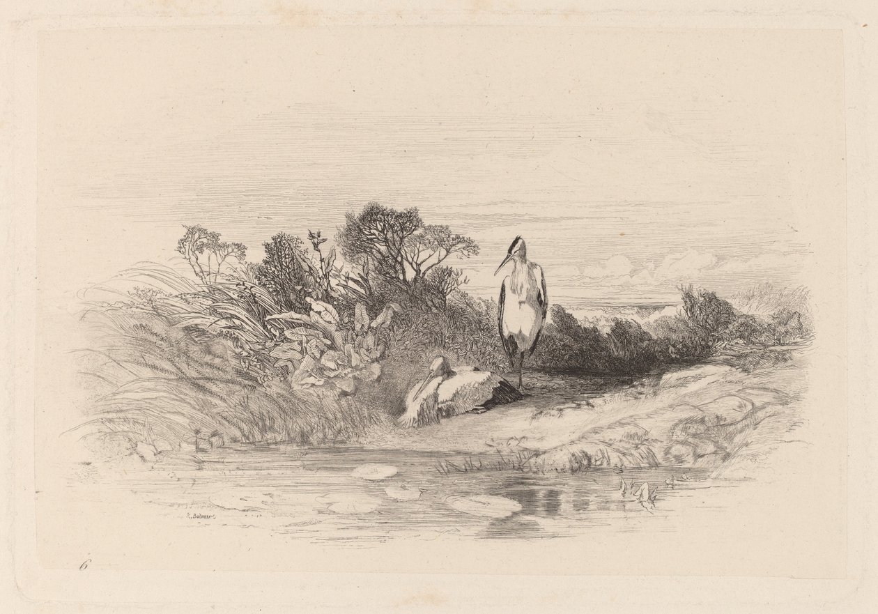 De Twee Reigers door Karl Bodmer