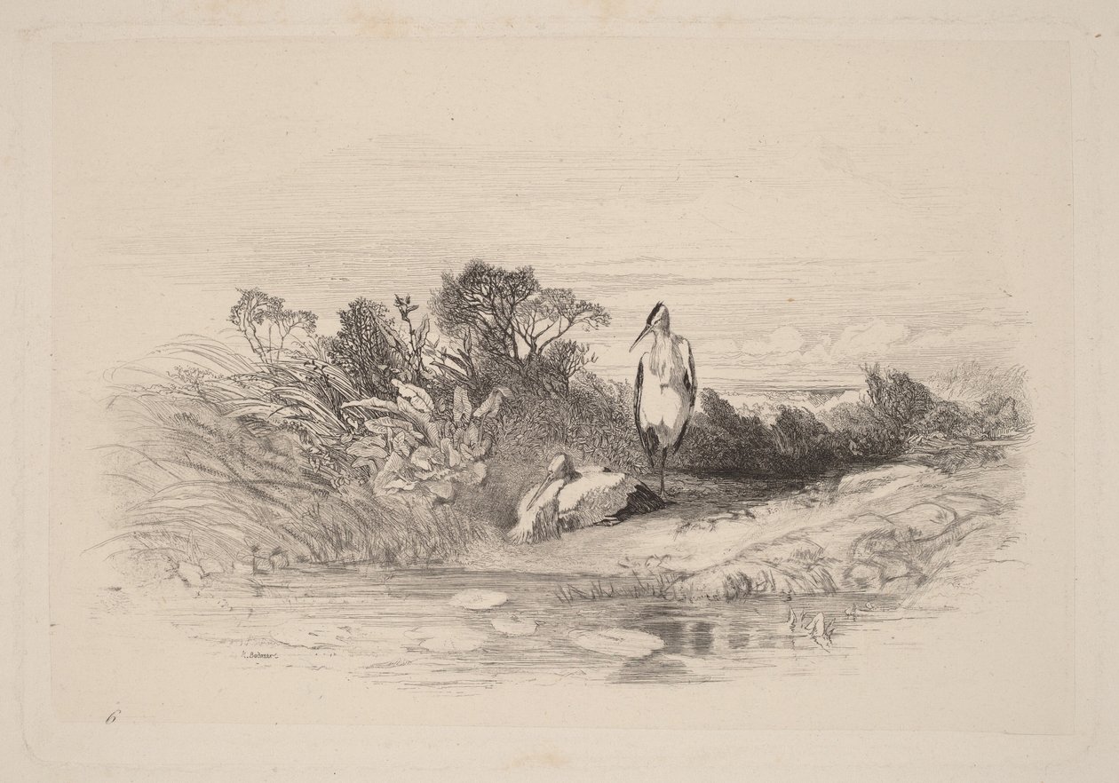 De twee reigers door Karl Bodmer