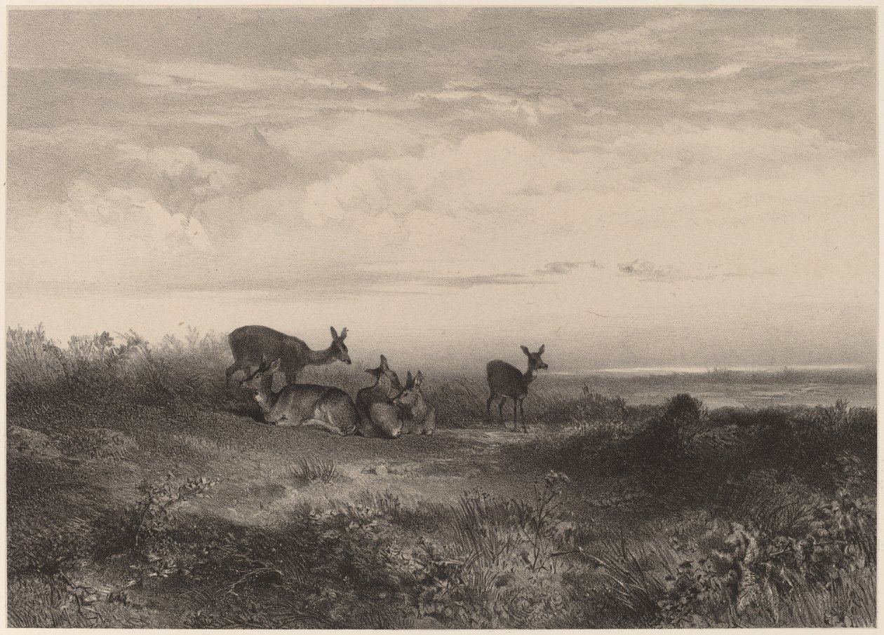 Les biches door Karl Bodmer