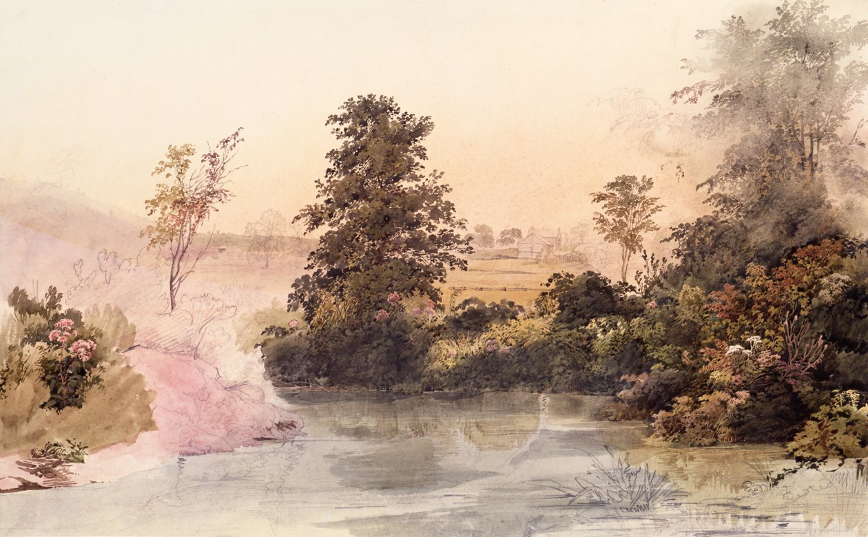 Mahoning Creek, Pennsylvania door Karl Bodmer