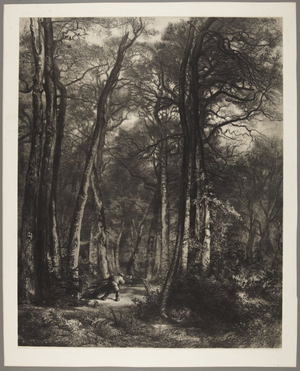 Man in het bos door Karl Bodmer