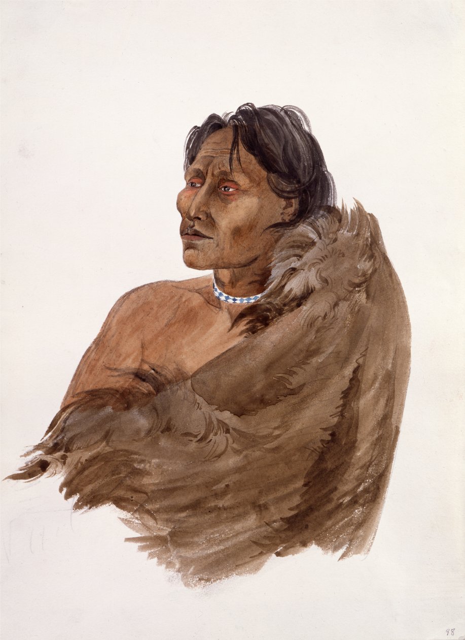  door Karl Bodmer
