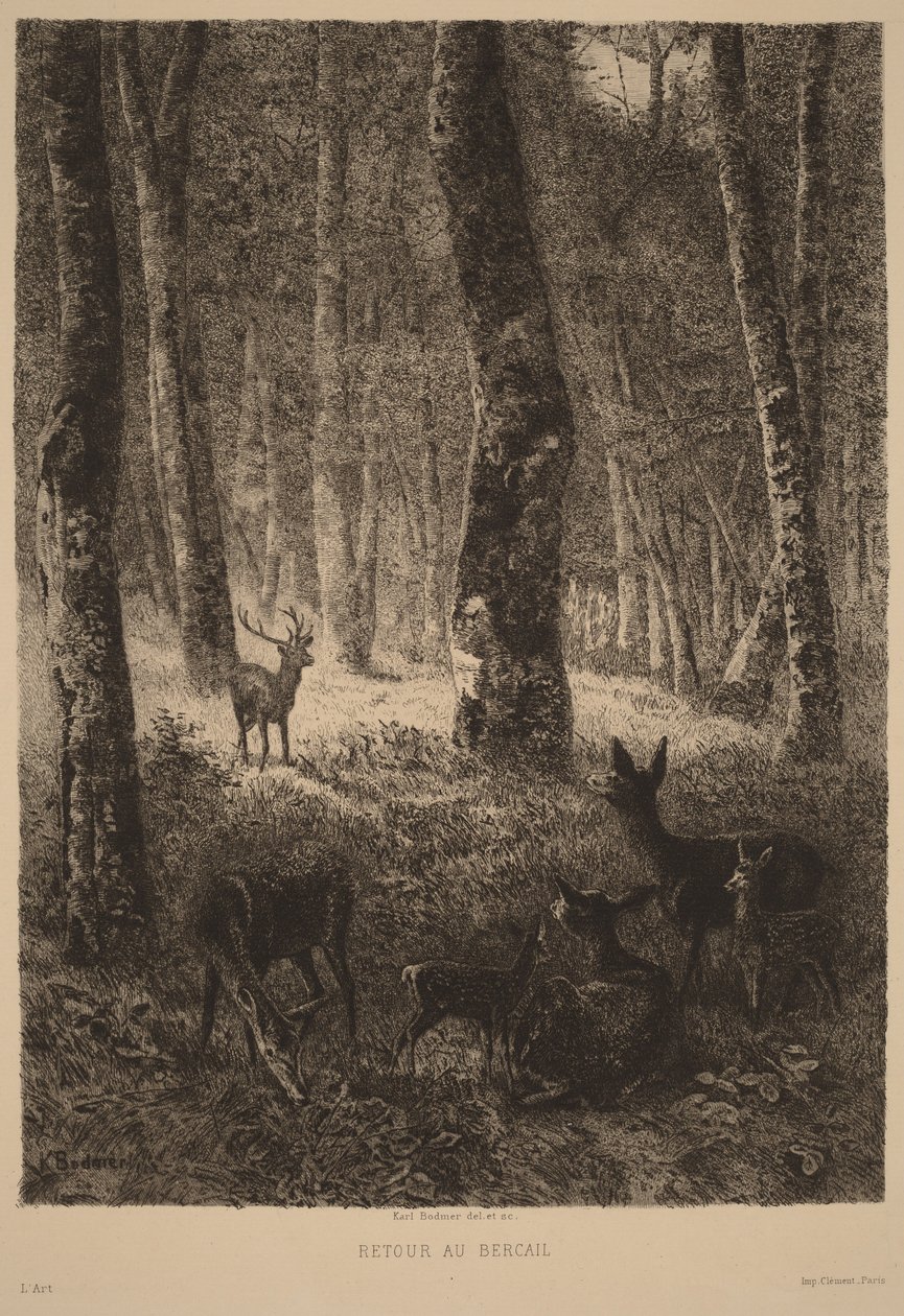 Terugkeer naar de kudde door Karl Bodmer