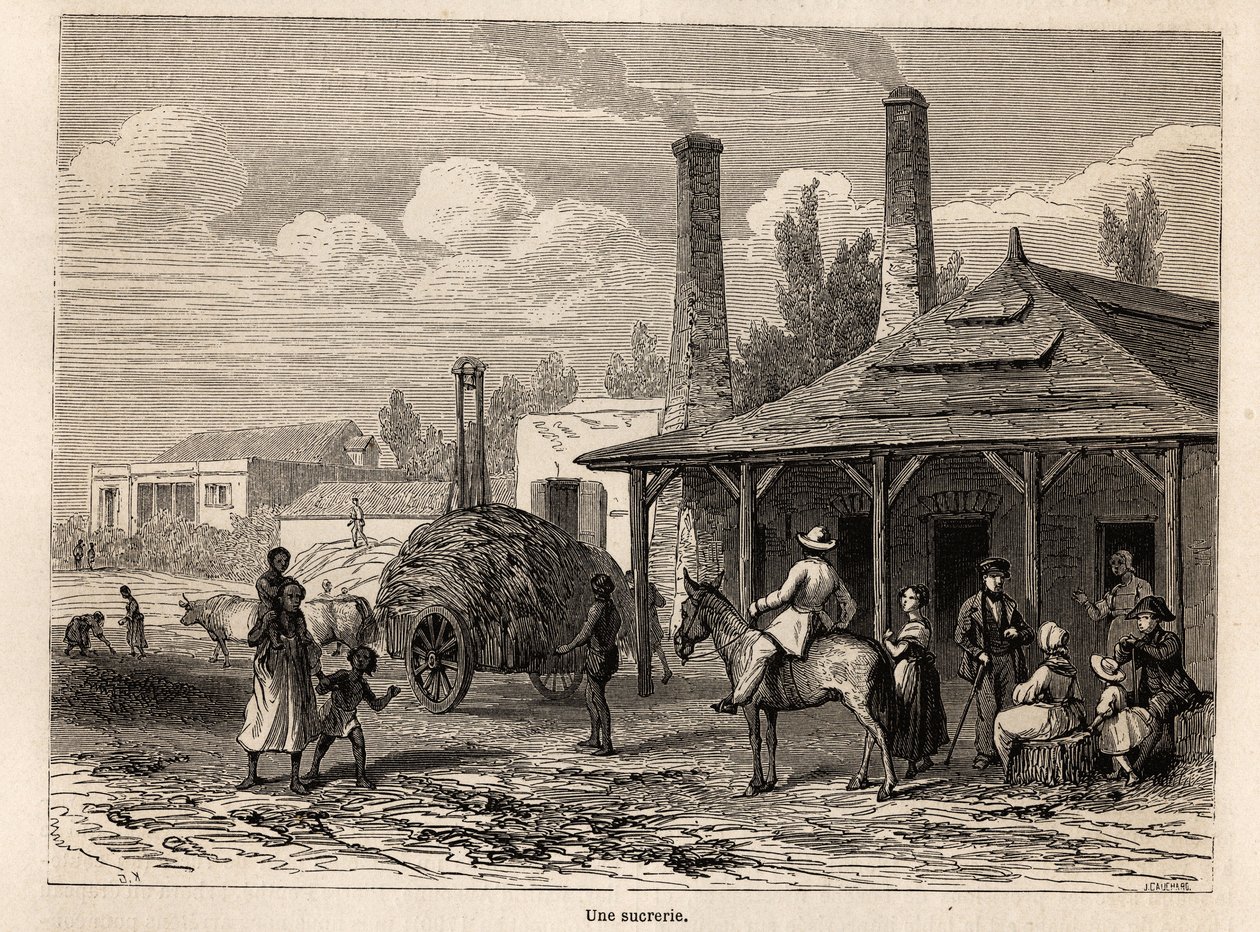 Een suikerfabriek aan de Riviere du Rempart, Mauritius. Illustratie van Alfred Verney