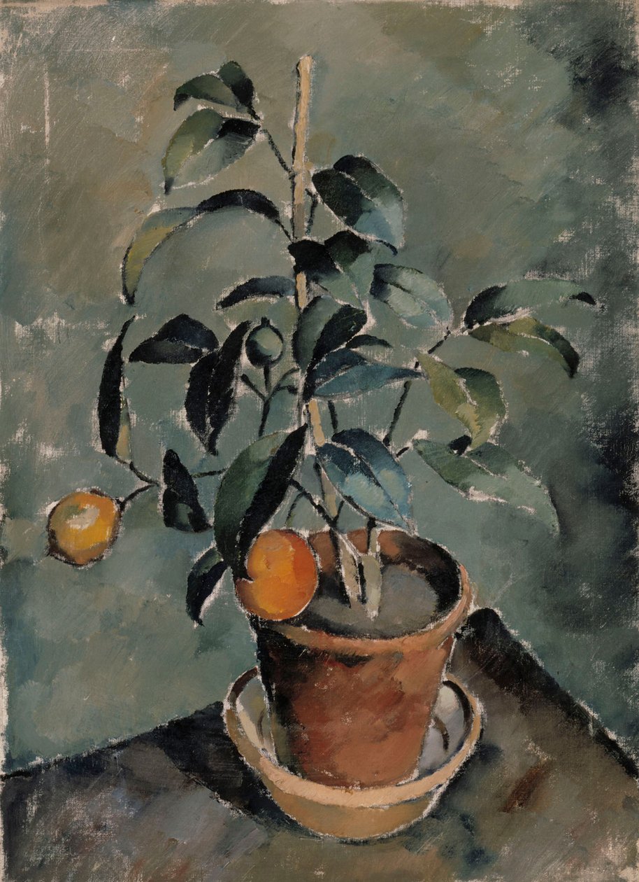 Oranje plant door Karl Isakson