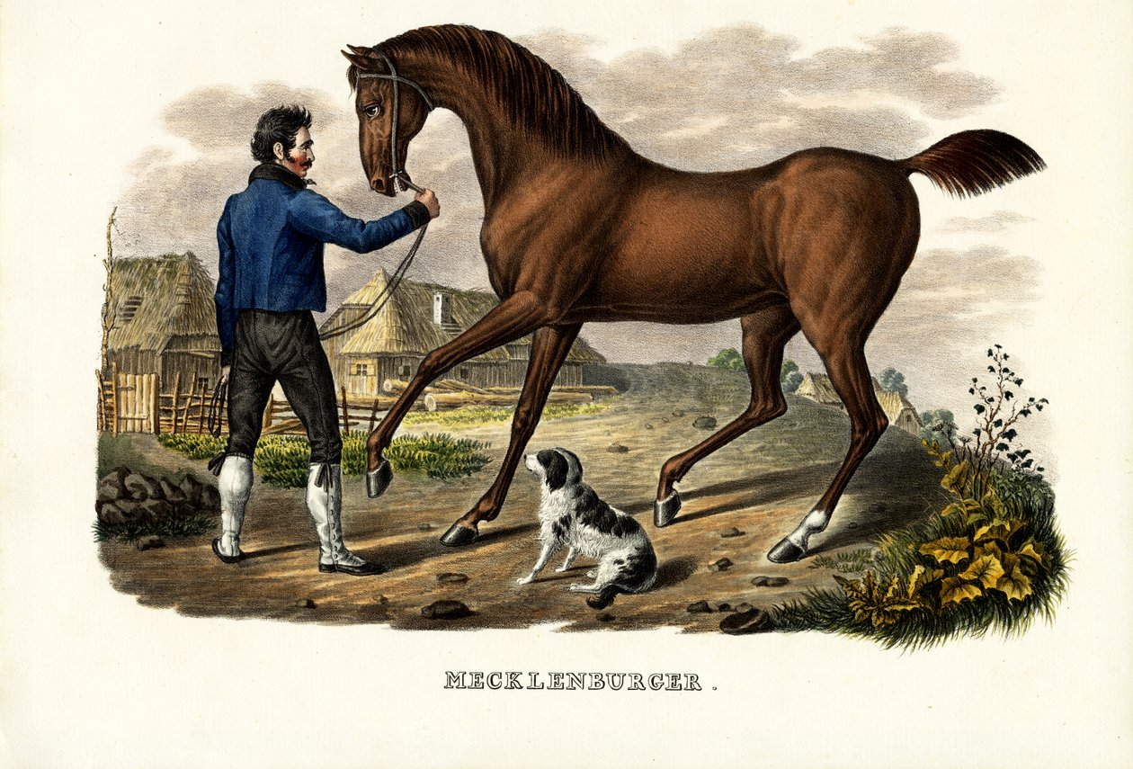 Mecklenburger paard, 1824 door Karl Joseph Brodtmann
