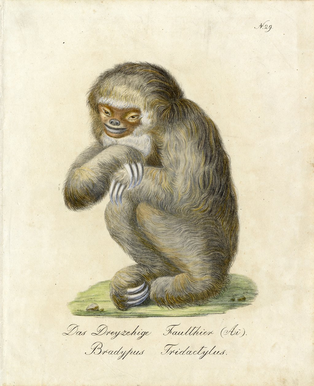  door Karl Joseph Brodtmann