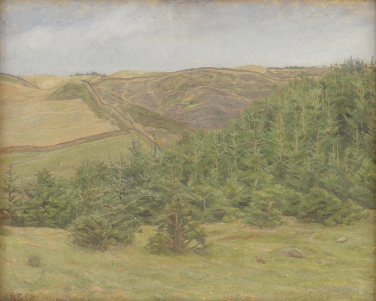 Svanninge heuvels, Funen door Karl Schou