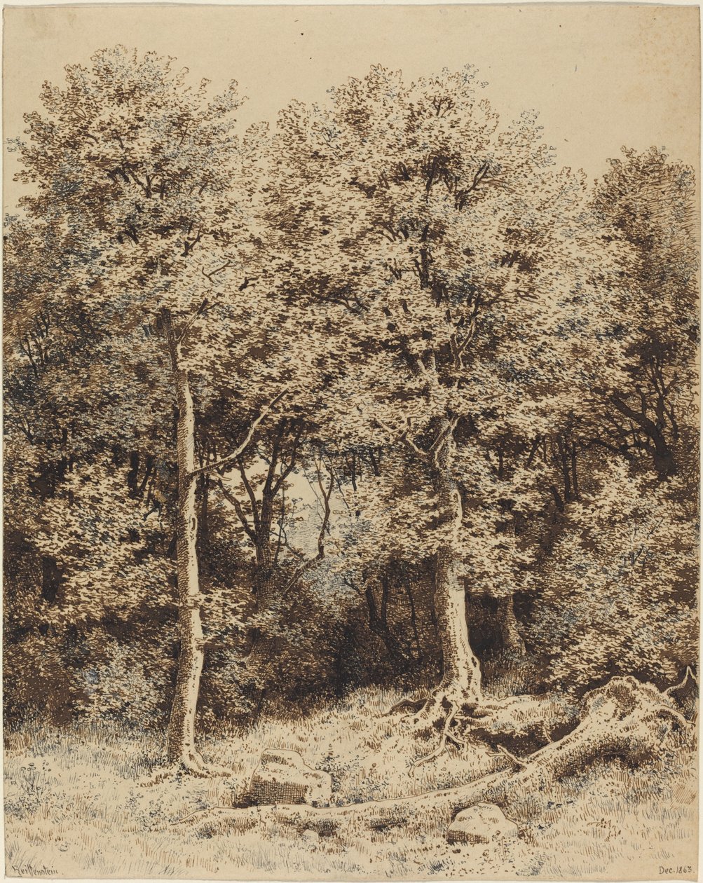Een bosje bomen door Karl Theodor Reiffenstein