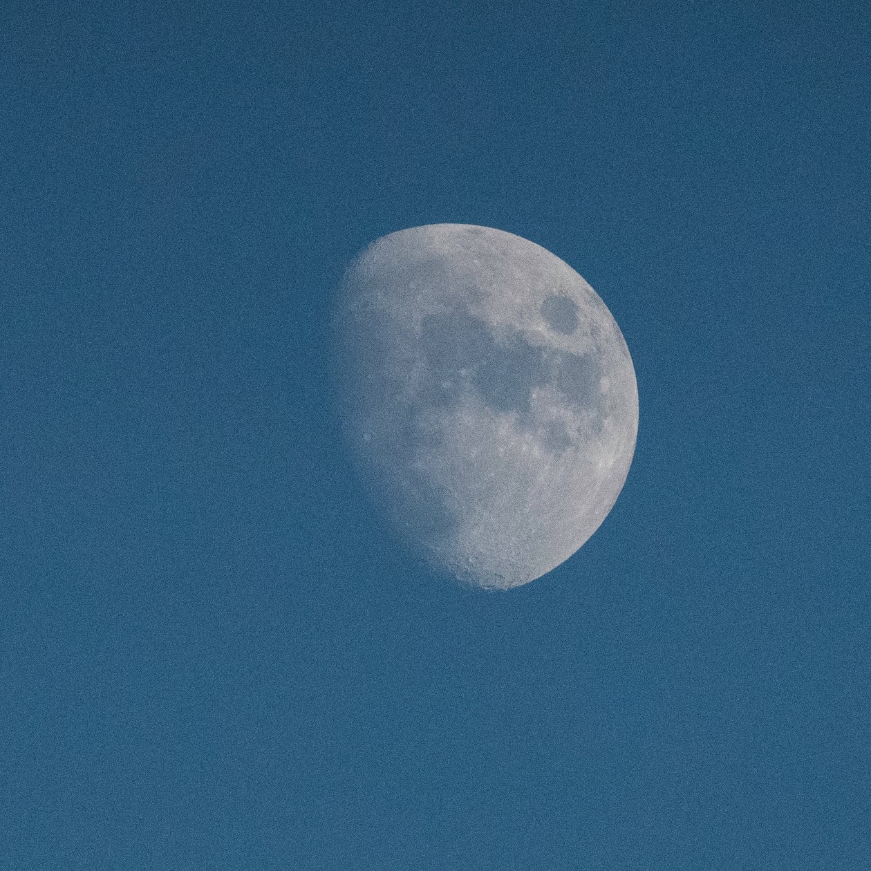 Kijk naar de maan, 2021 (foto) door Katha Wood