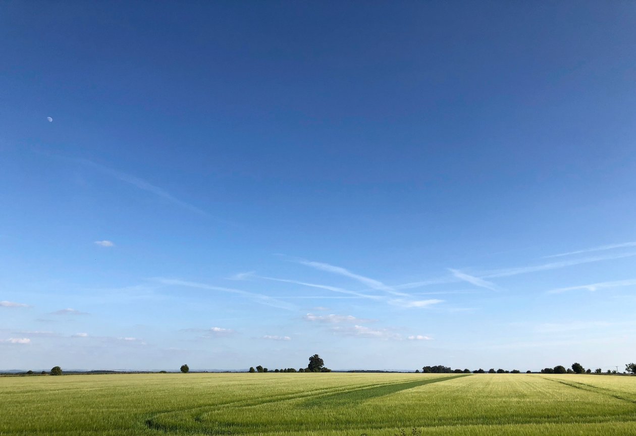Summer Crop 2018 door Katha Wood