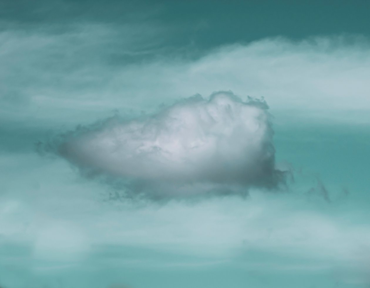 Deze wolk, 2021 (foto) door Katha Wood