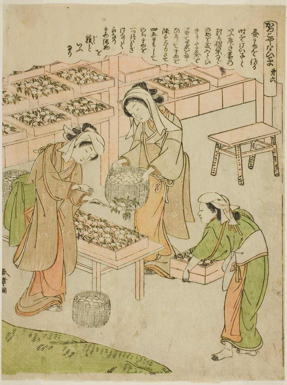 Plaat 6 (Onderzoek van de Nieuw Gesponnen Cocons), uit de serie "Kaiko Yashinai-gusa" door Katsukawa Shunsho