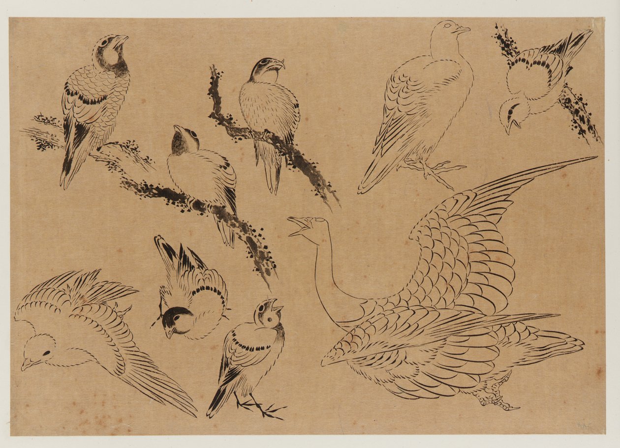 Vogels, Edo-periode, laat 18e-begin 19e eeuw door Katsushika Hokusai