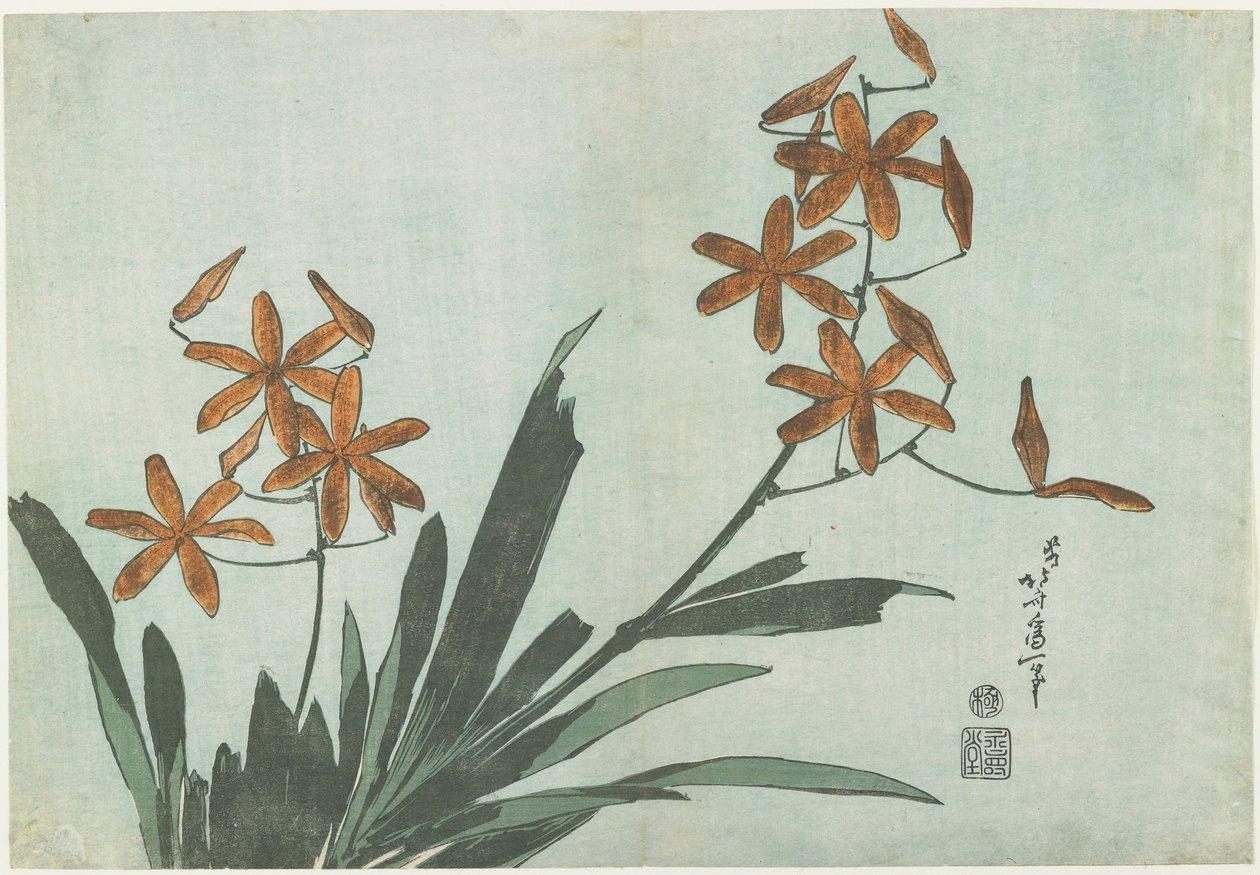 Zwarte Bessen Lelies, c. 1832 door Katsushika Hokusai