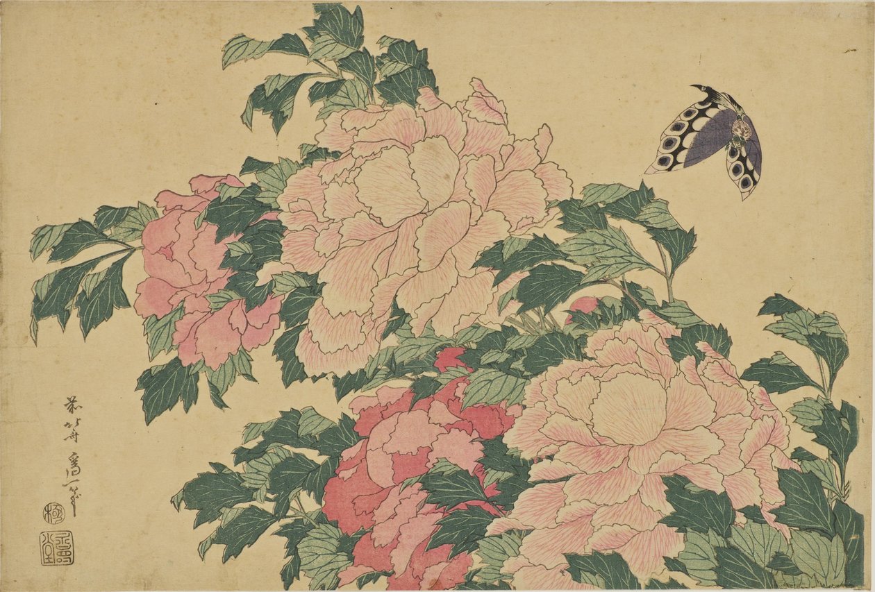 Vlinders en pioenrozen door Katsushika Hokusai