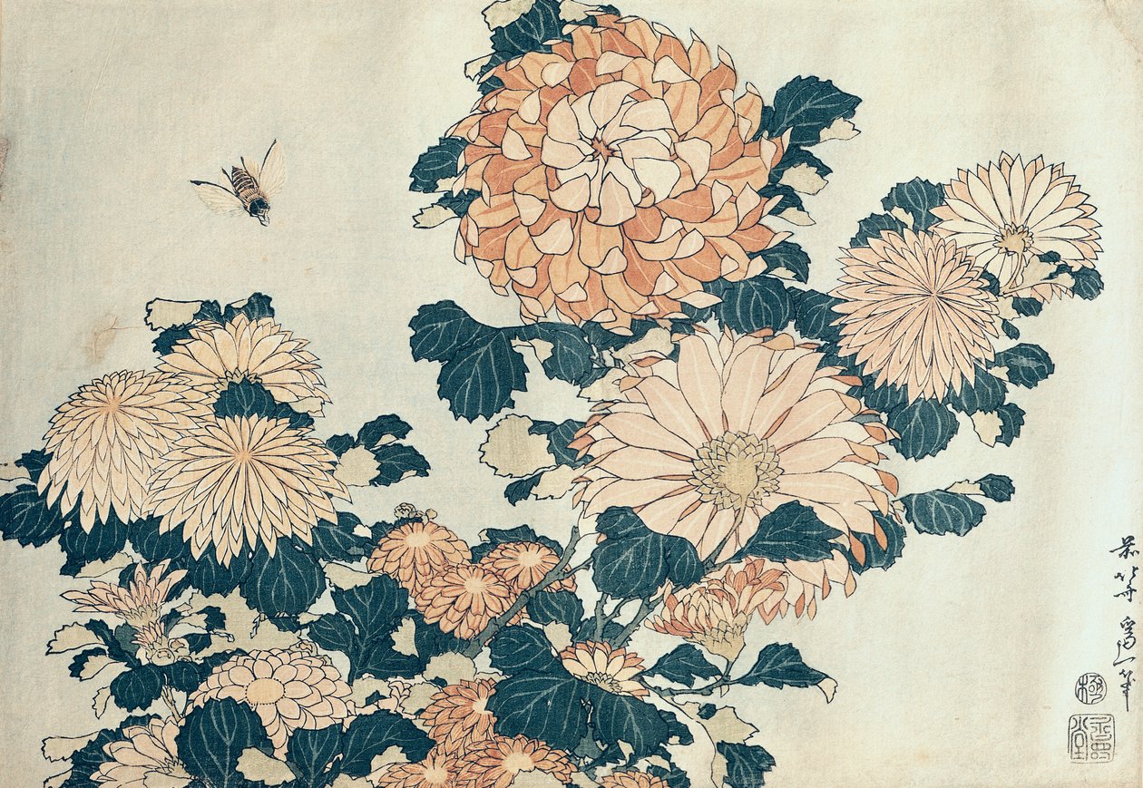 Chrysanten door Katsushika Hokusai