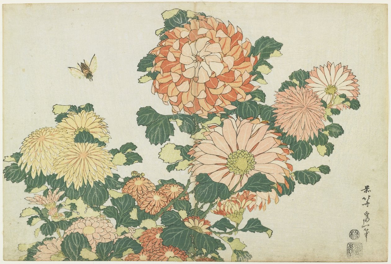 Chrysanten en paardenvlieg, c. 1832 door Katsushika Hokusai