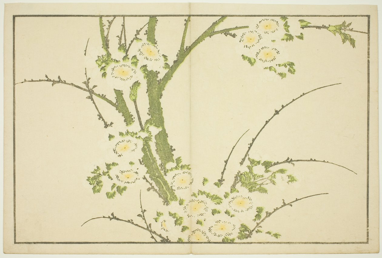 Bloemen, uit Het prentenboek van realistische schilderijen van Hokusai (Hokusai shashin gafu) door Katsushika Hokusai