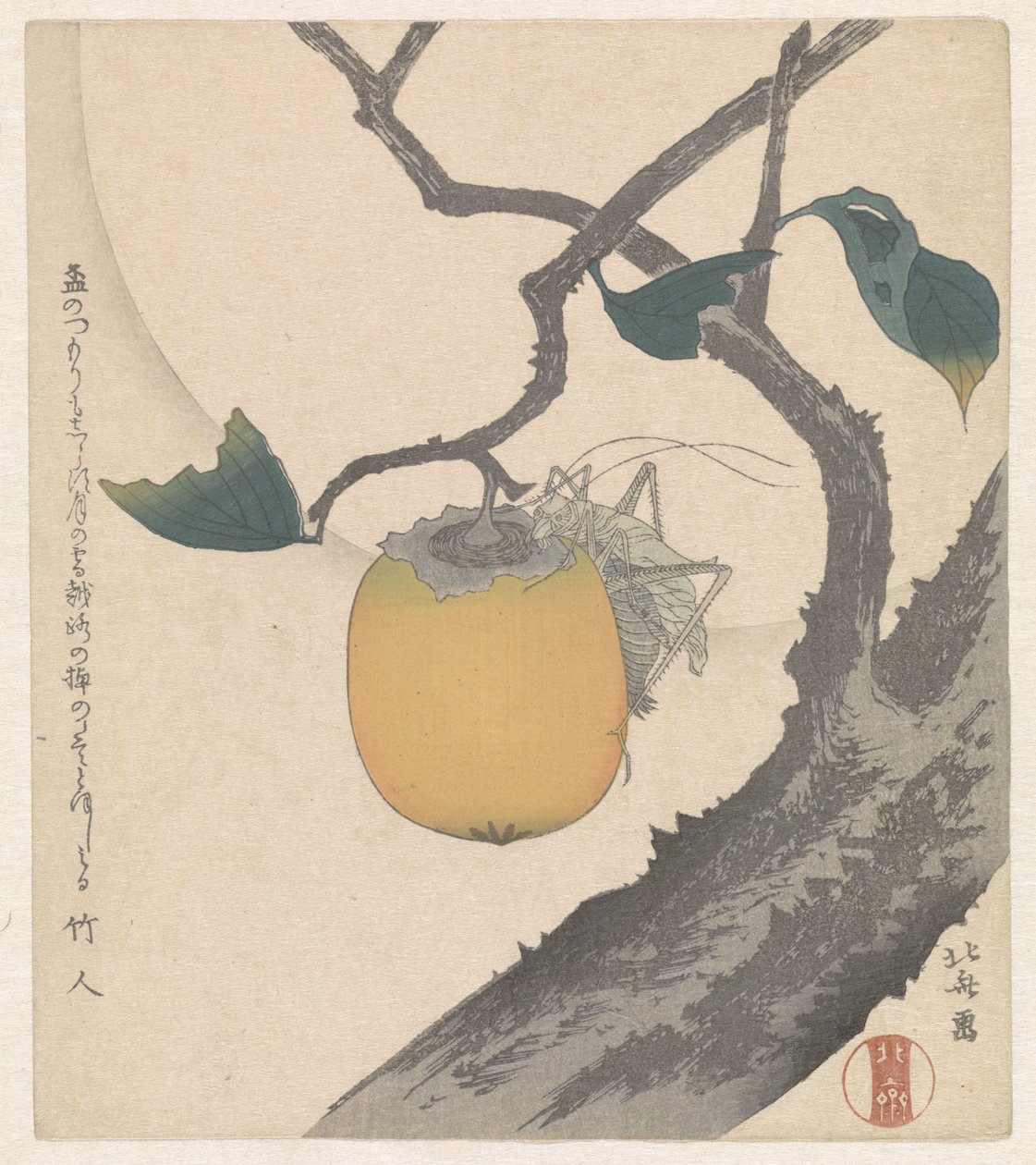 Kakivrucht met sprinkhaan door Katsushika Hokusai