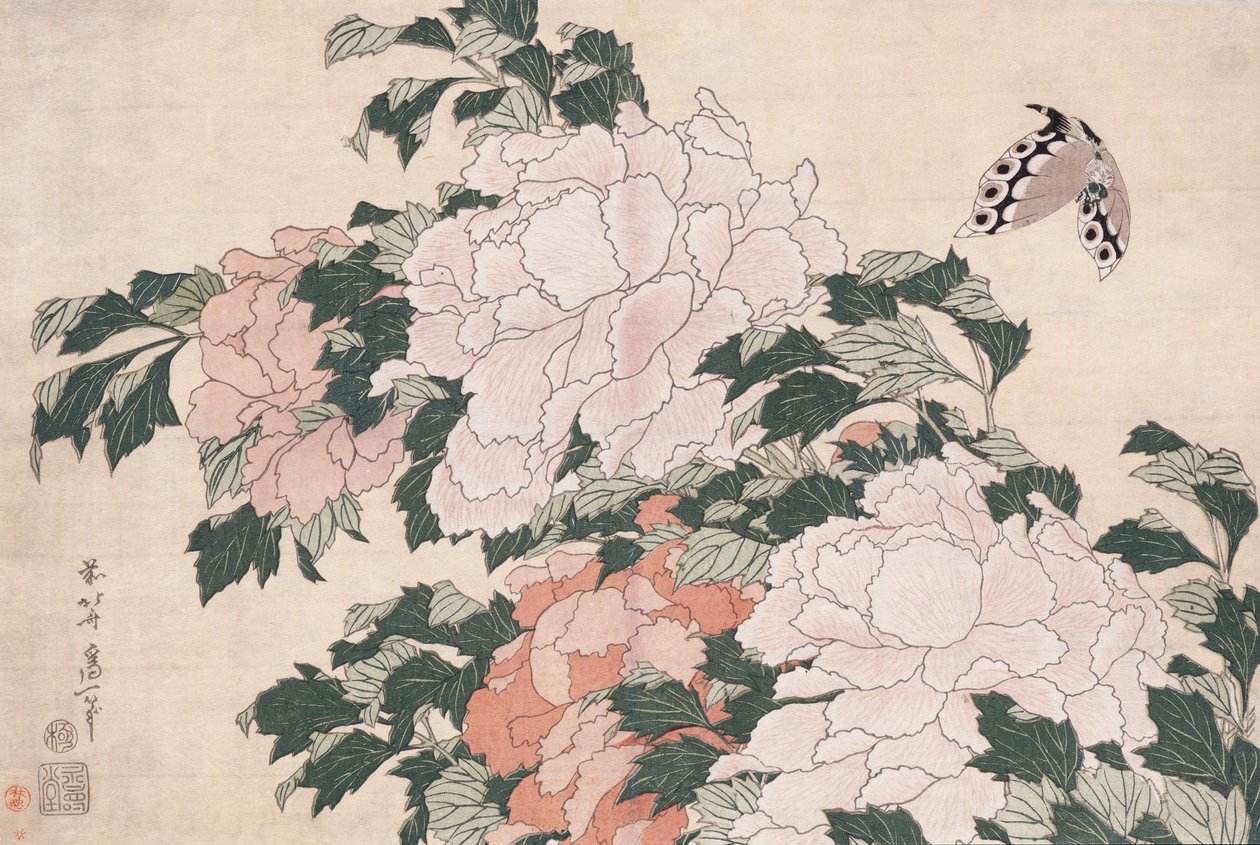 Roze en Rode Pioenen Geblazen naar Links in een Bries en een Vlinder door Katsushika Hokusai