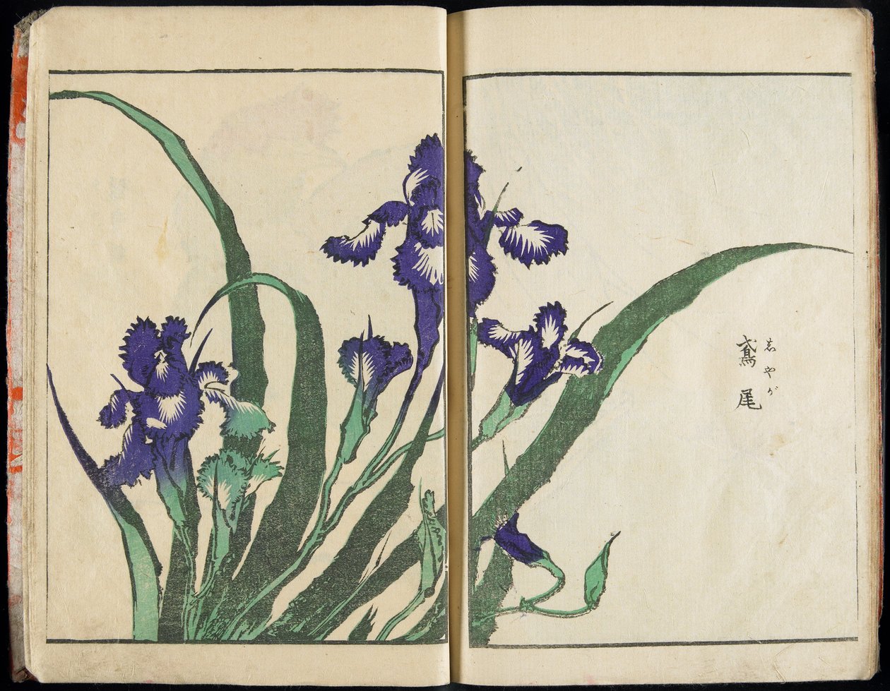 De geest overbrengen en de vorm van de dingen onthullen: Hokusai’s Tuin van Beelden, deel 1, compleet door Katsushika Hokusai