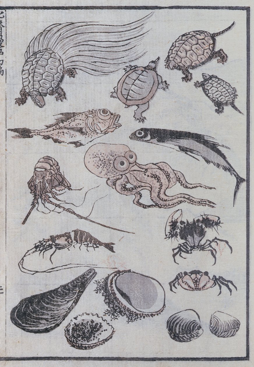 Onderwaterwezens, uit een Manga door Katsushika Hokusai