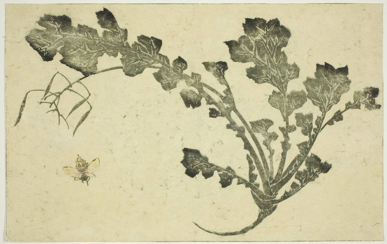 Wesp en raapstengel, uit "Het prentenboek van realistische schilderijen van Hokusai (Hokusai shashin gafu)" door Katsushika Hokusai
