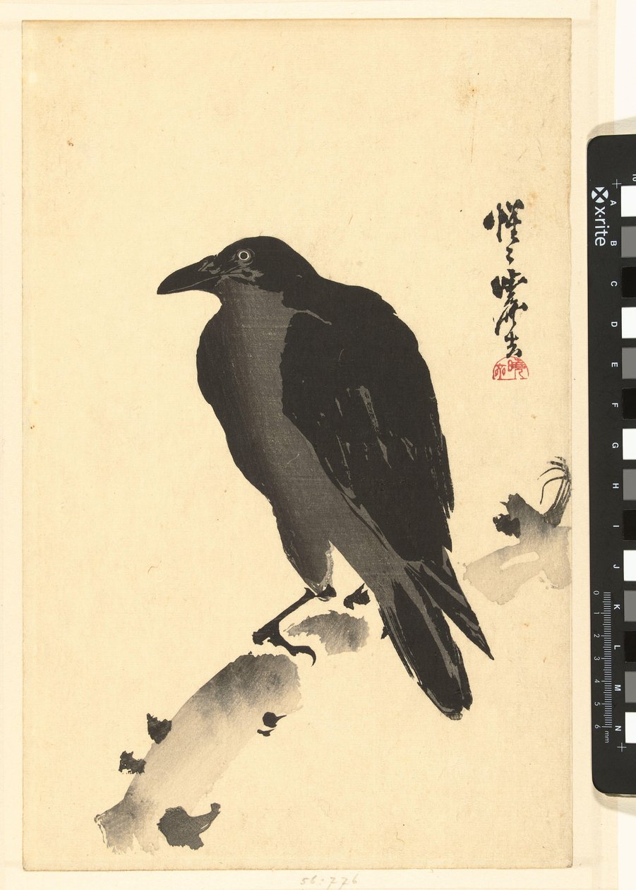 Kraai op een boomstam door Kawanabe Kyosai